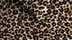 dbo_beddinghouse_vita_1p_brown_detail