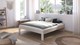 Bed Nori, champagne