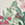 8719023511906_kleur_1