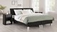 Boxspring Morero vlak met polyether matras, zwart