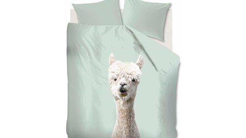 dbo_bh_alpaca_groen_topshot