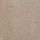 Kleur beige