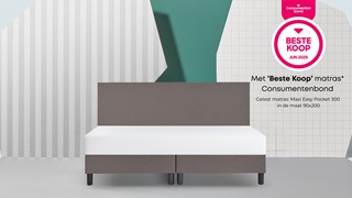 Box Lowen Plus vlak met Easy pocket 300 matras