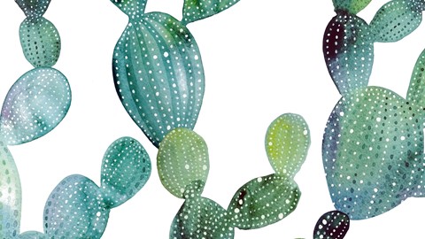 stl_muller_cactus_detail