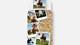 dbo_muller-kids_cows_multi_topshot