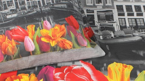 dbo_ambianzz_amsterdam_tulips_detail
