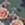 8719023376918_kleur_1