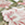 8719002200470_kleur_1