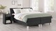 Boxspring Morero vlak met gestoffeerd matras, charcoal