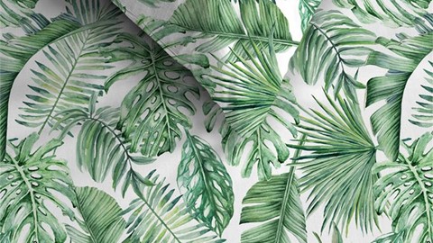 dbo_bh_monstera_groen_detail