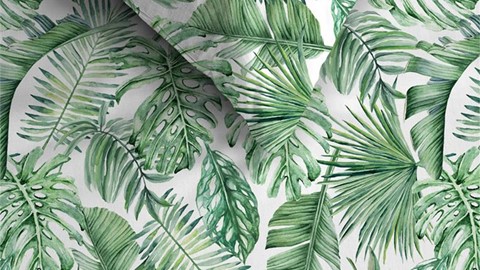 dbo_bh_monstera_groen_detail