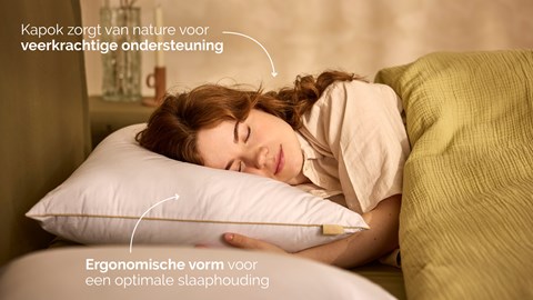 Hoofdkussen B Bright Natural Kapok