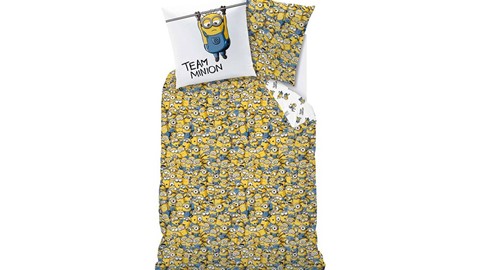 dbo_merchandise_fever_105797_minions_friends_1p_topshot