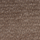 Kleur taupe