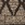 8720574530377_kleur_1