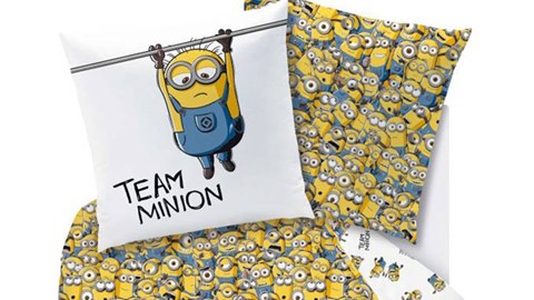 dbo_merchandise_fever_105797_minions_friends_1p_online