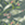 8719023512187_kleur_1