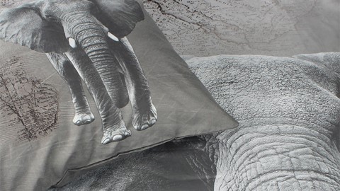 dbo_ambianzz_african_elephant_detail
