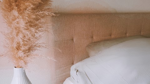 Een plant naast een bed
